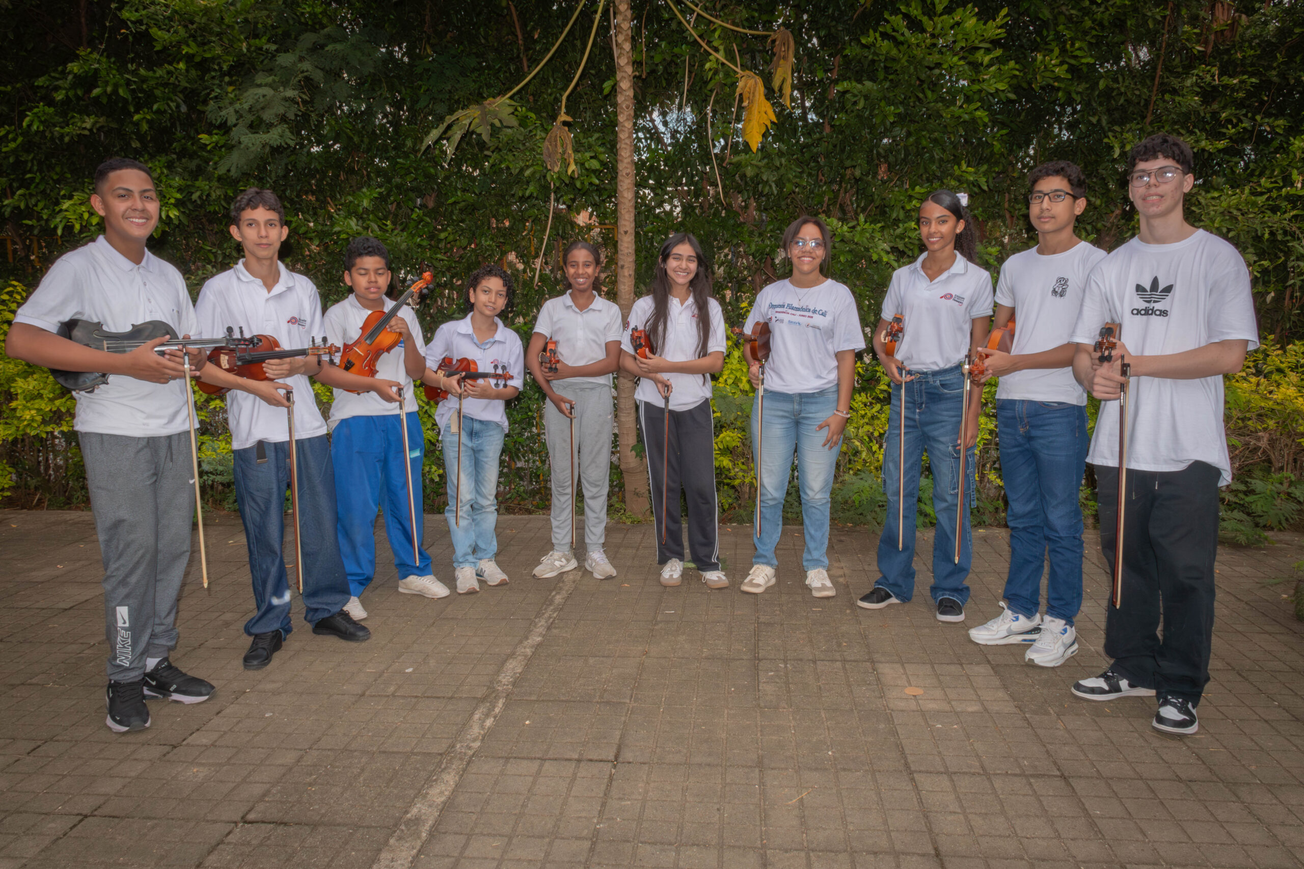 Violín