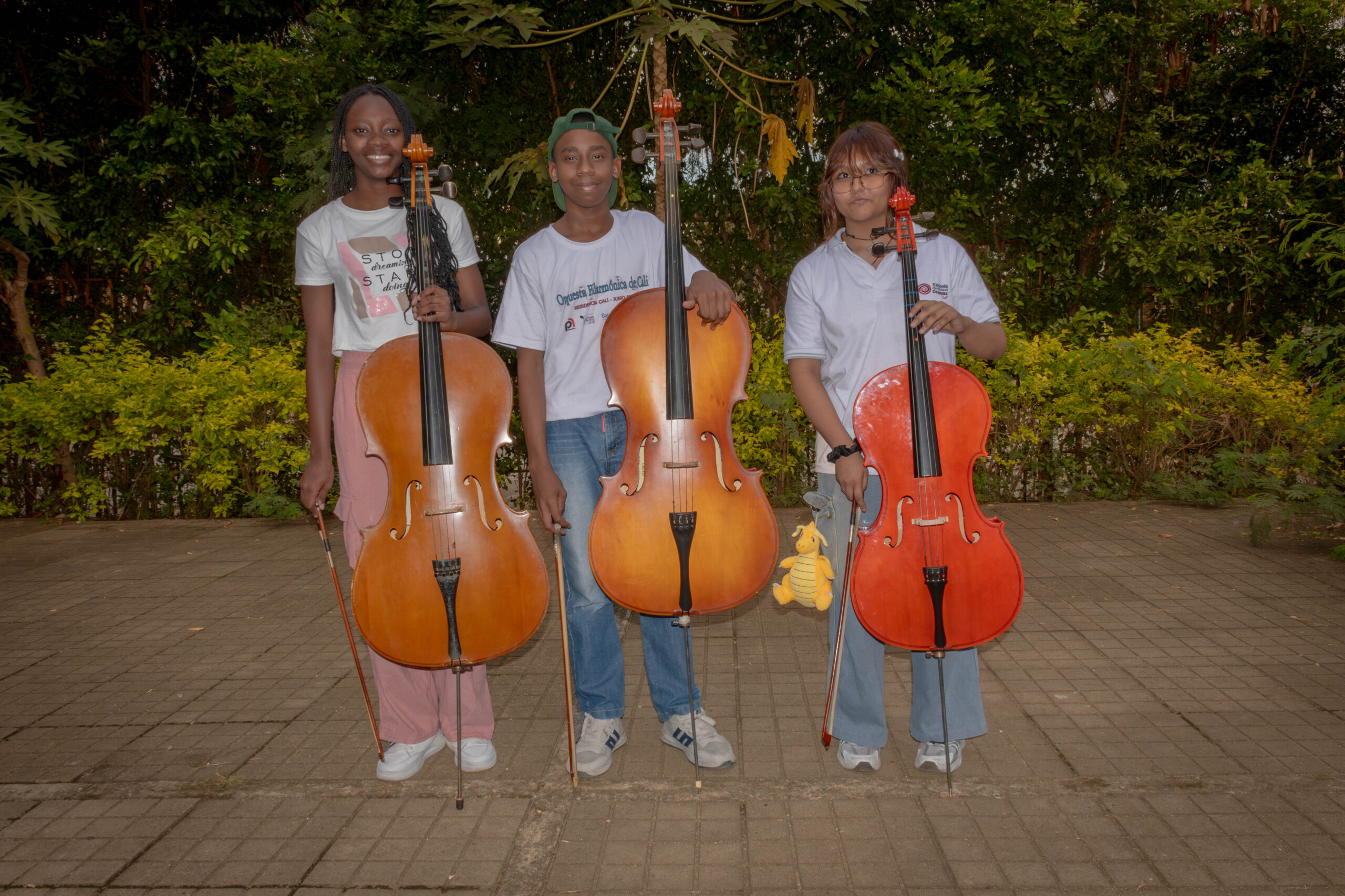 Violonchelo